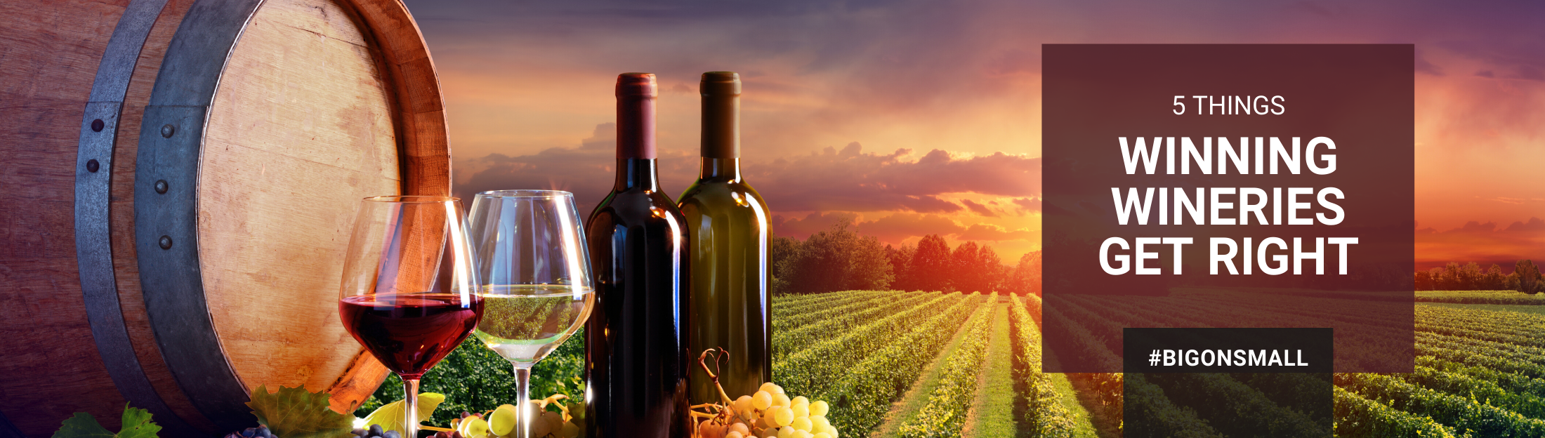 5  Things Winning Wineries Get Right